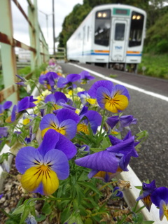 天竜浜名湖鉄道で撮り鉄!