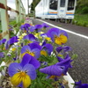 天竜浜名湖鉄道で撮り鉄!