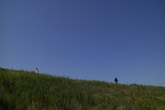 Levee Bank and Blue Sky