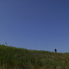 Levee Bank and Blue Sky