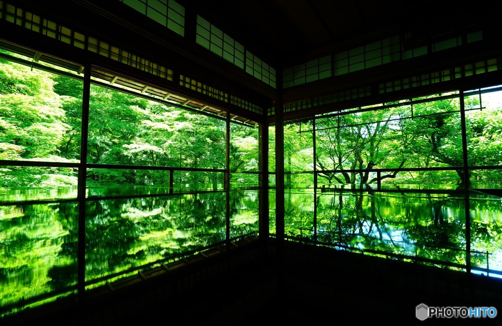 新緑の瑠璃光院