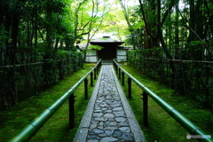 高桐院