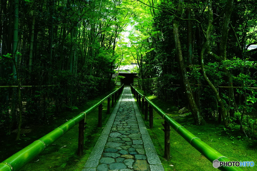 高桐院