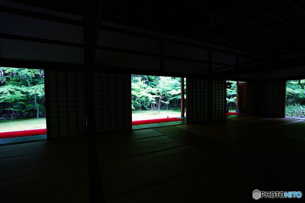 高桐院