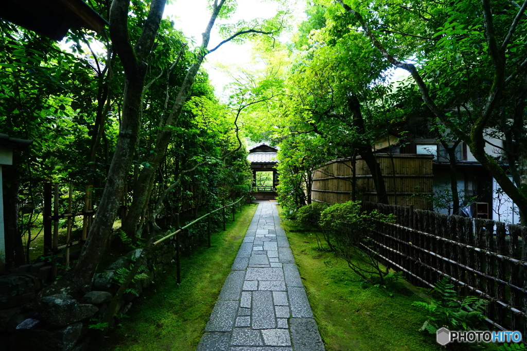 高桐院