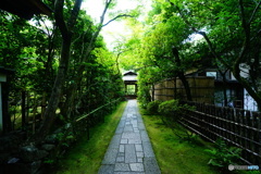 高桐院