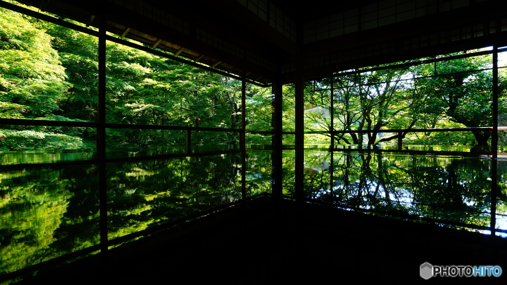 新緑の瑠璃光院