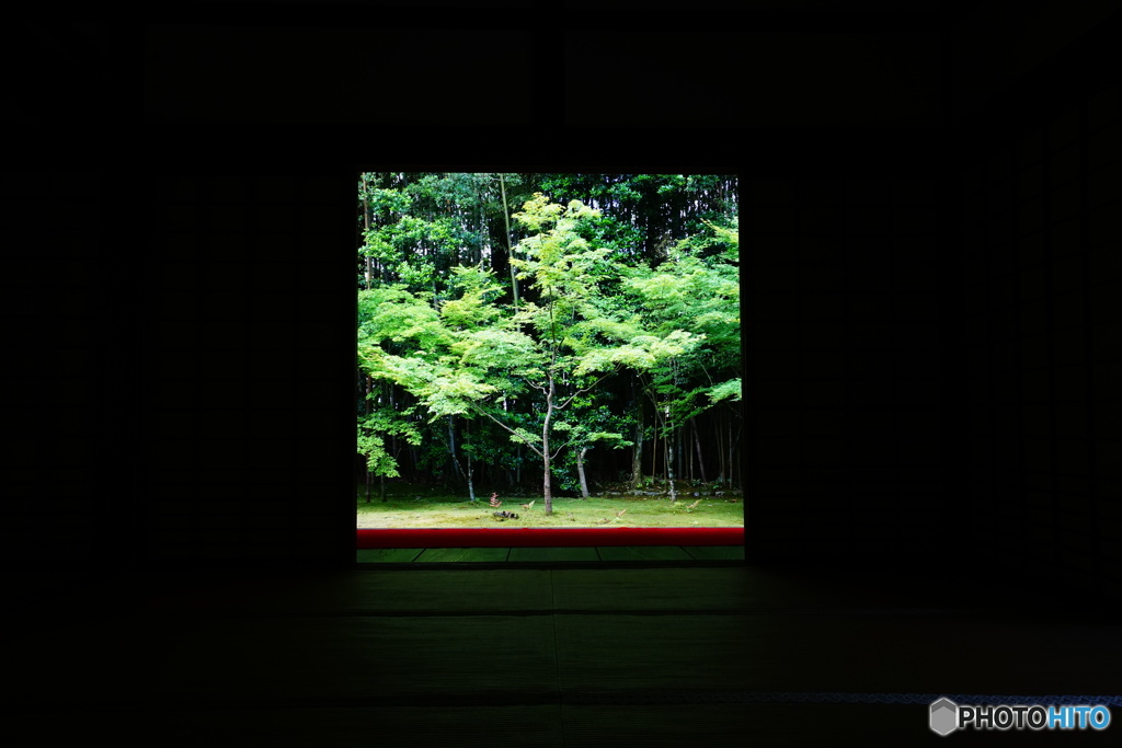 高桐院
