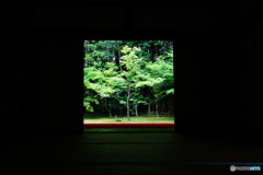 高桐院