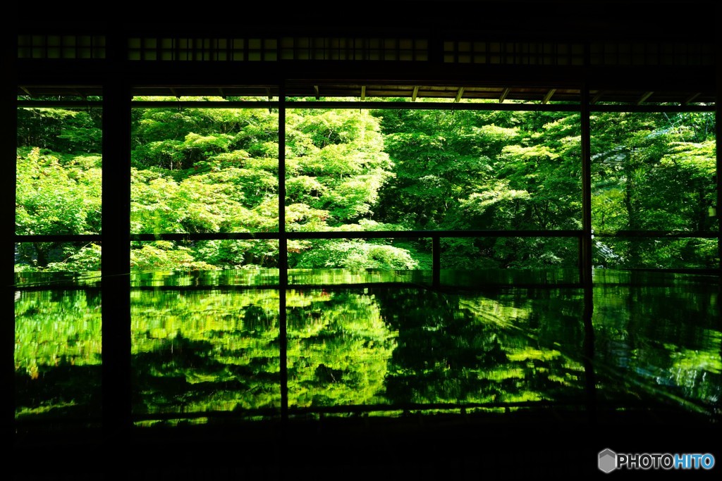 新緑の瑠璃光院
