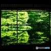 新緑の瑠璃光院