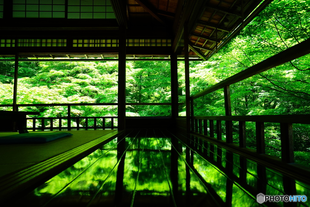 新緑の瑠璃光院