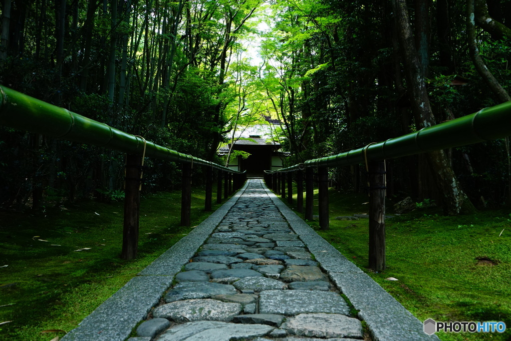 高桐院