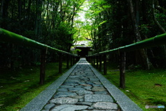高桐院