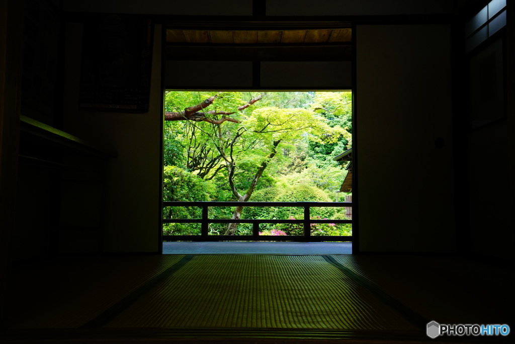 高桐院