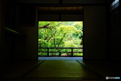高桐院