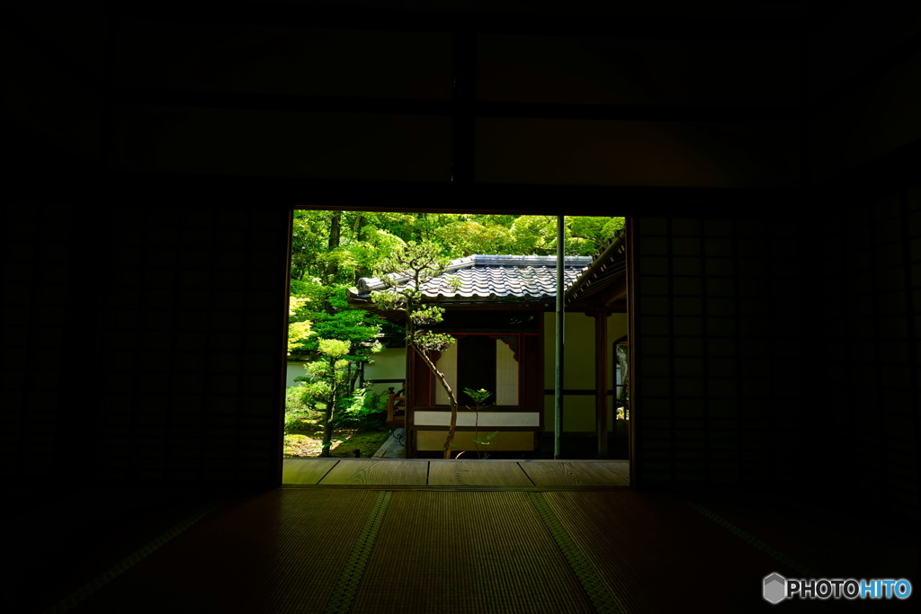 高桐院
