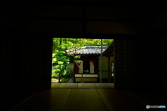 高桐院