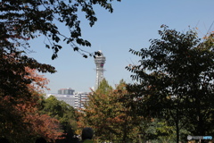 動物園から見える通天閣