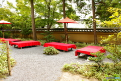 金閣寺境内での野点席