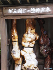 第２６番金剛頂寺　　がん封じご霊木