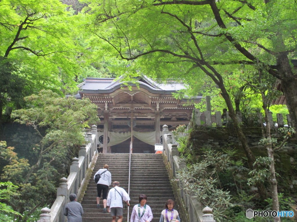 四国八十八か所巡礼４４番大寶寺