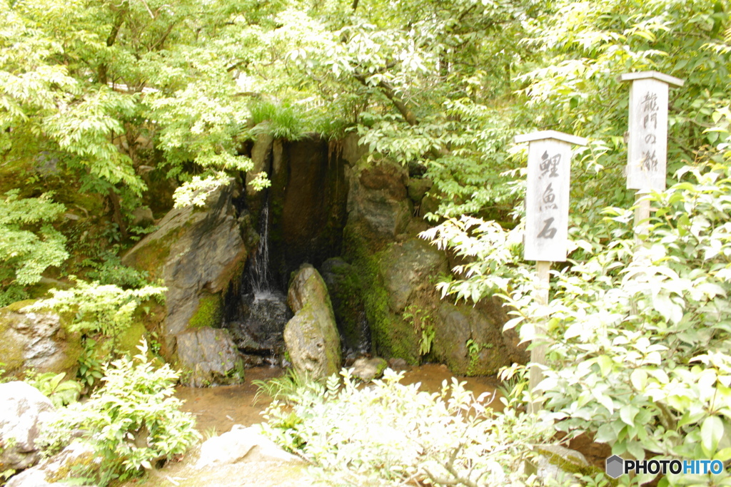 龍門の瀧と鯉魚石（りぎょせき）