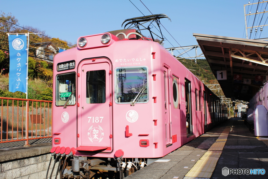 めでたい電車。南海加太さかな線