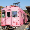 めでたい電車。南海加太さかな線