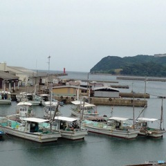 和歌山の漁港２