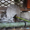 兎の手水場
