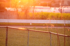 夕暮れ