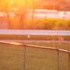 夕暮れ