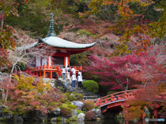 紅葉を求めて・京都醍醐寺②