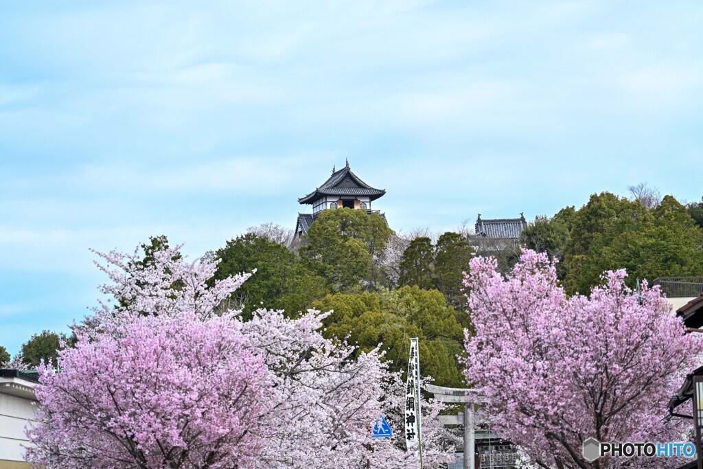 国宝犬山城