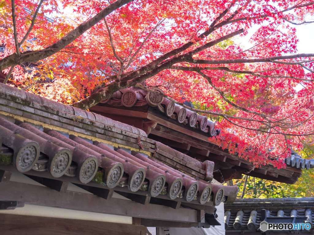 紅葉を求めて・京都南禅寺③