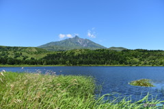 利尻島