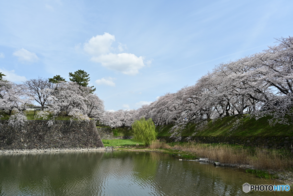 名古屋城散策⑨