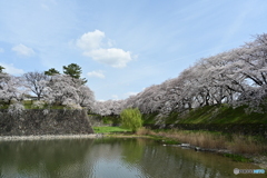 名古屋城散策⑨