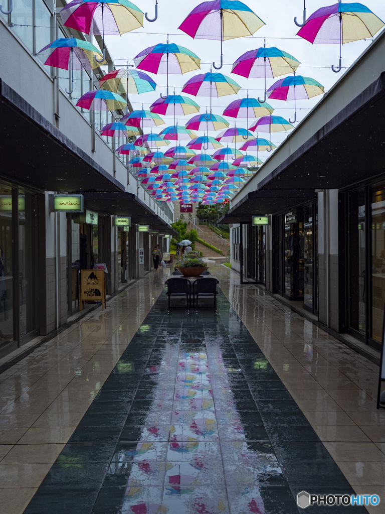 梅雨の風物詩②