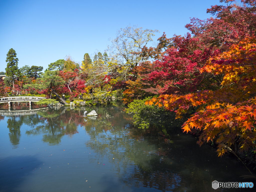 紅葉を求めて・京都永観堂③