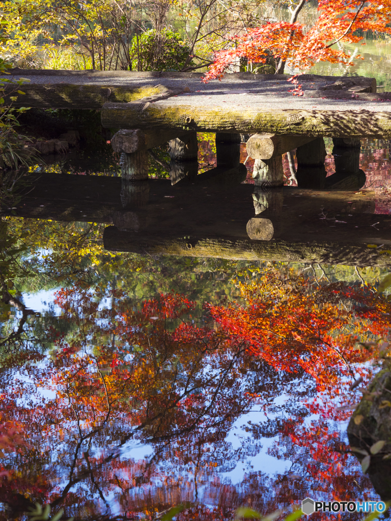 晩秋の紅葉①