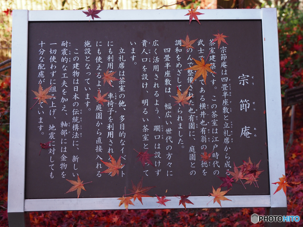晩秋⑩