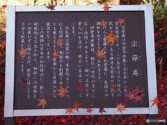 晩秋⑩