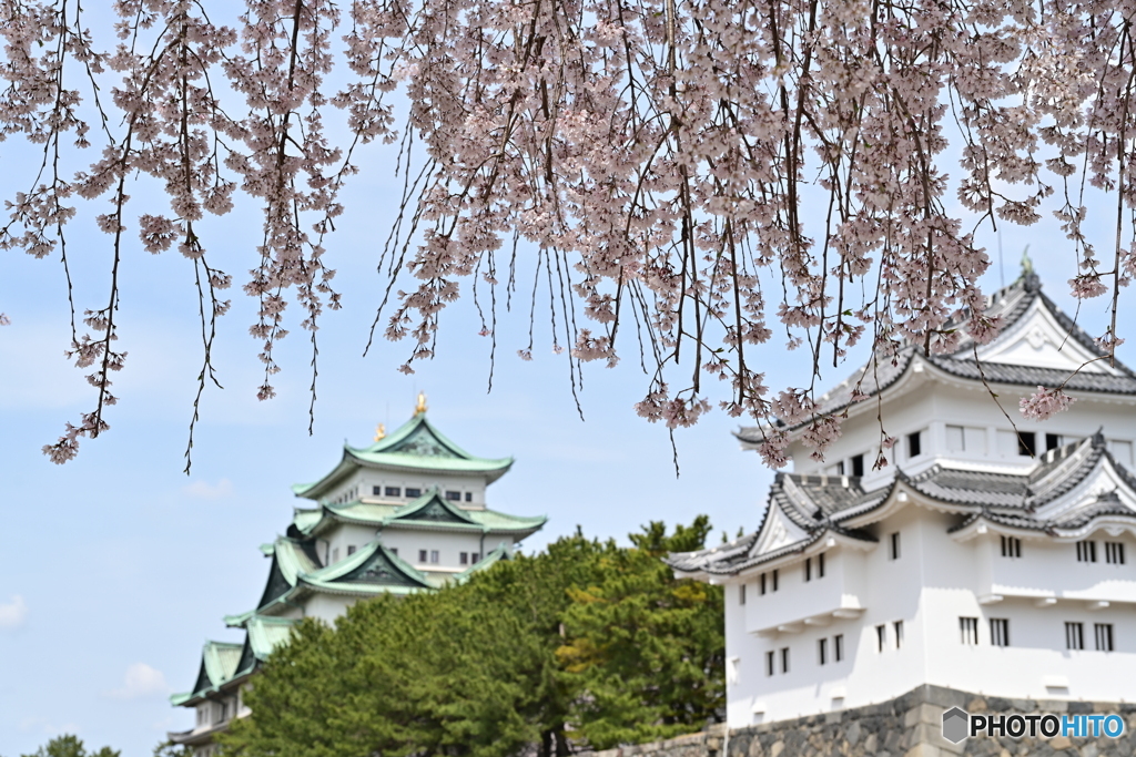 名古屋城散策⑧