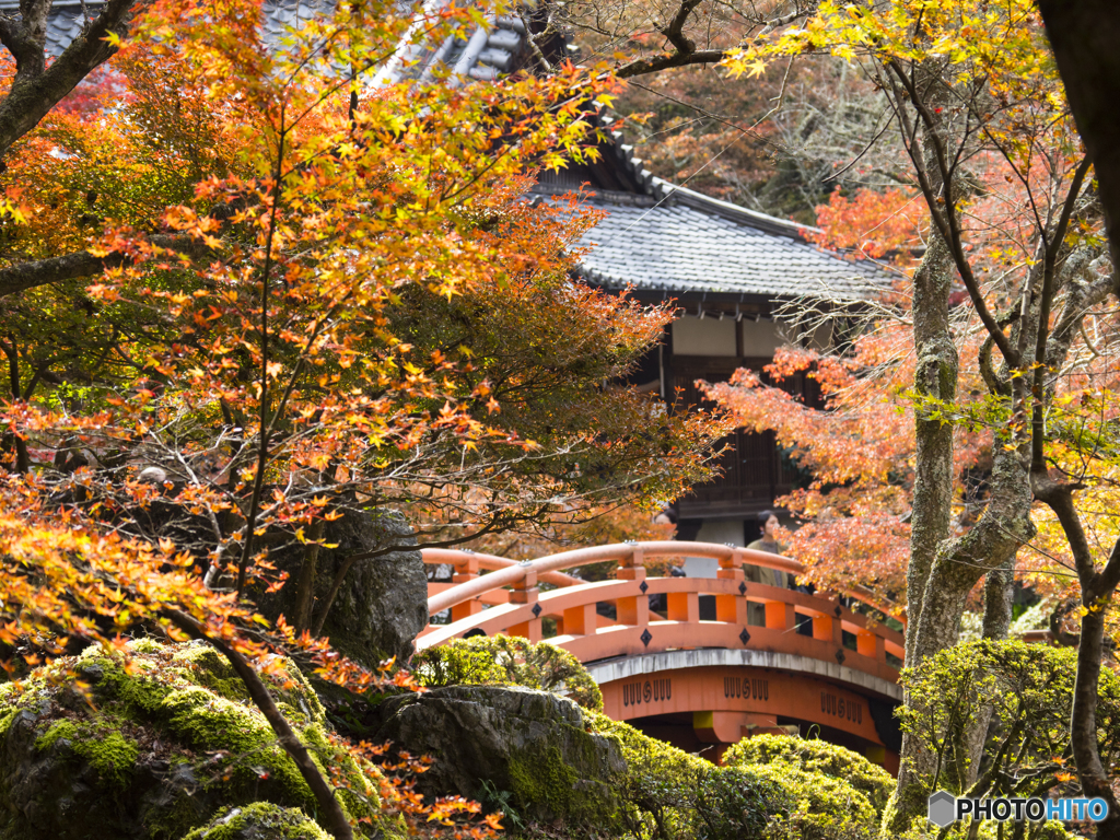 紅葉を求めて・京都醍醐寺③