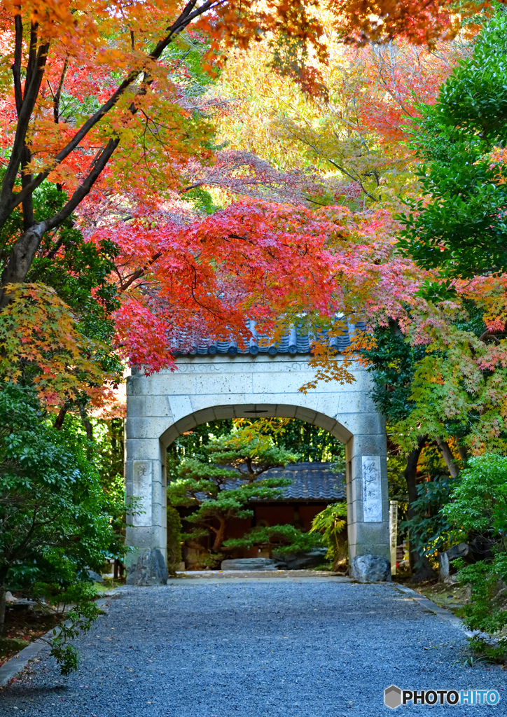 晩秋⑦