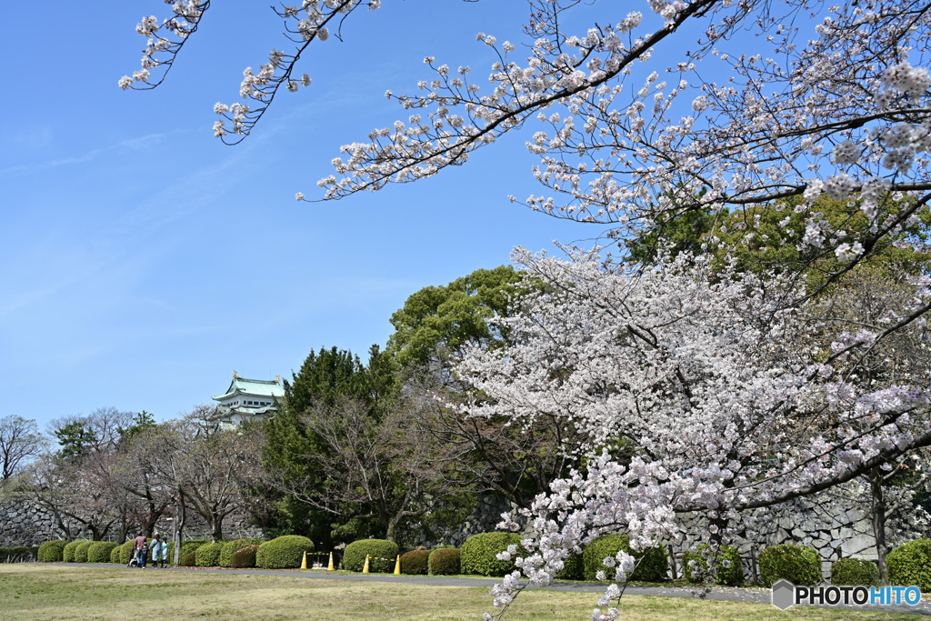 名古屋城散策②