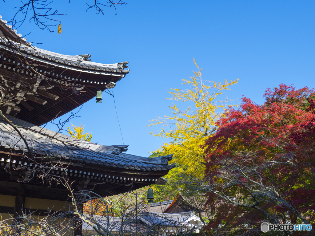 紅葉を求めて・京都南禅寺①