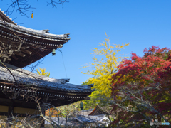 紅葉を求めて・京都南禅寺①